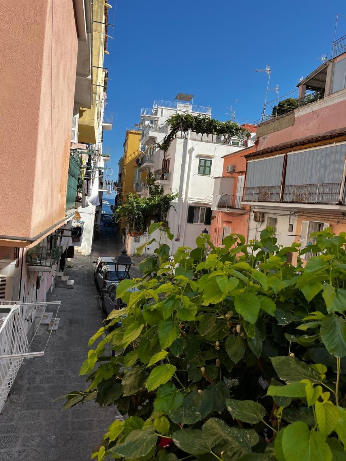 Appartamento Nnammurate Ischia Esterno foto